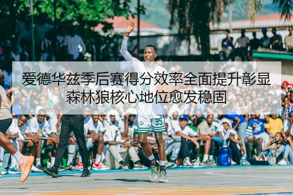 爱德华兹季后赛得分效率全面提升彰显森林狼核心地位愈发稳固